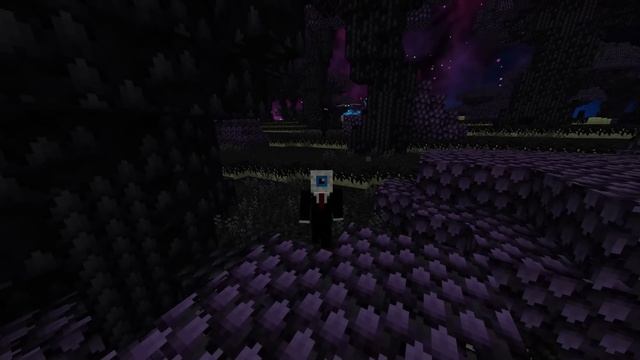 This New Minecraft Mod Transforms The End Into Something Incredible смотреть онлайн