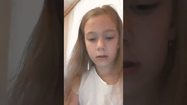 Как отучить питомца грызть провода смотреть онлайн