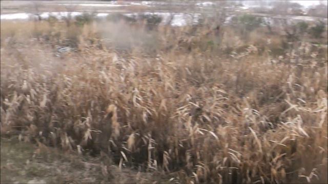 Продолжение темы У КАЖДОГО СОБЫТИЯ ЕСТЬ ФАМИЛИЯ ч 2 канал смотреть онлайн