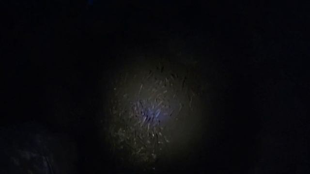 Нашли схрон или сброс. смотреть онлайн