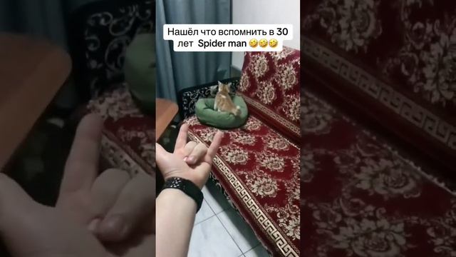 Spider - Man , Человек - Паук 2023 год смотреть онлайн