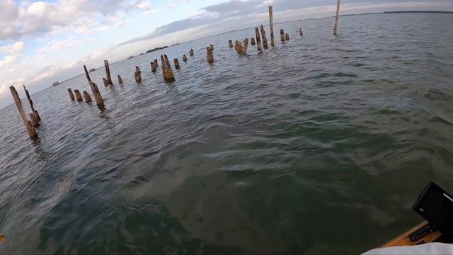These Crabs Caught the Fish Other Bait Didn't! смотреть онлайн