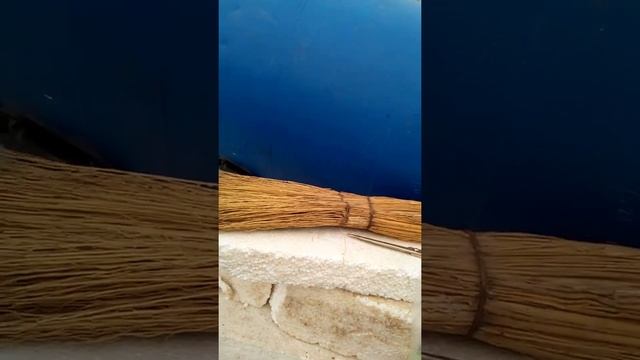 ПОМОЖЕМ ПРИРОДЕ И ЭКОЛОГИИ ВОКРУГ НАС. смотреть онлайн