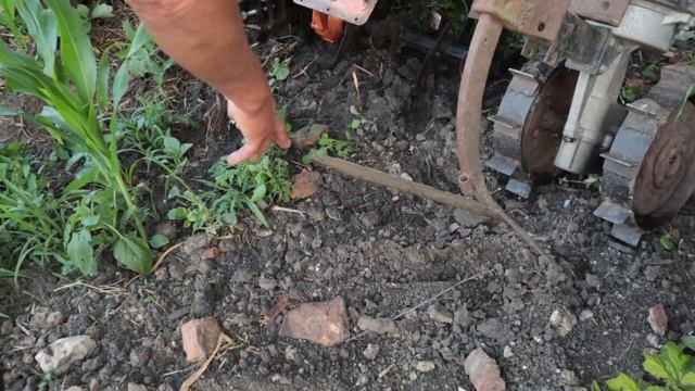 Наша мінітехніка для города. З чого починали? Мінітрактор, мотоблок, мотокультиватор смотреть онлайн