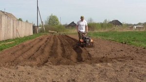 Посадка картофеля  под мотоблок. Первый опыт. Патриот урал.
