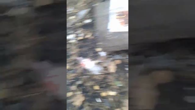 Сжигаем учебник биологии 8 класс!!!!! смотреть онлайн