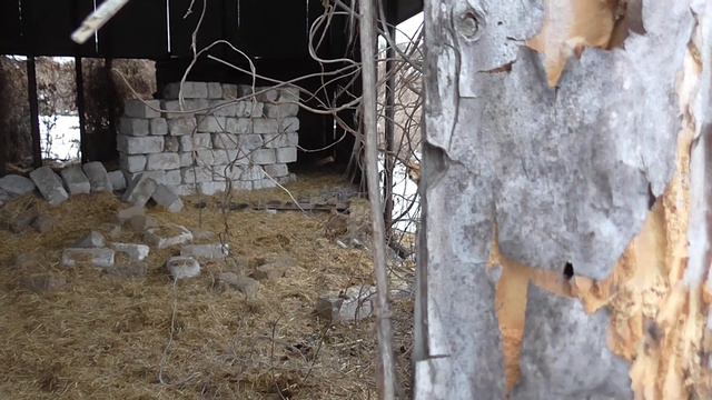 06/02/2019 Славянский Хатико смотреть онлайн