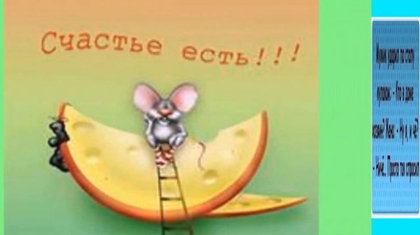 Веселые и забавные статусы Cheerful and amusing statuses