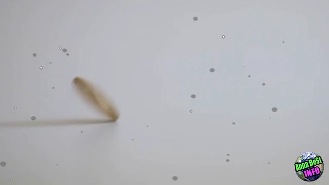 Ни в Коем Случае Не Держите Это в Карманах Своей Одежды! смотреть онлайн