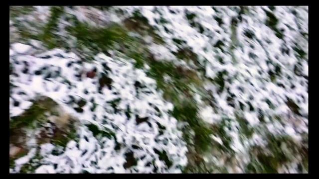 Бабочки зимой тоже летают. смотреть онлайн