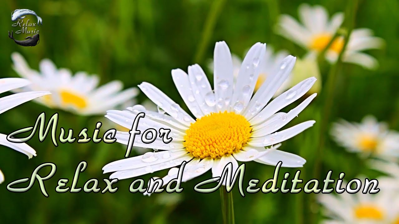 10 минут расслабляющей музыки на фортепиано для отдыха, сна, медитации смотреть онлайн