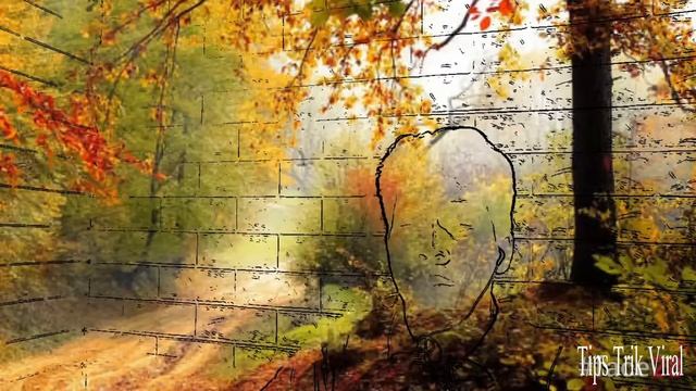 как контролировать чей-то разум, чтобы люди слушали, чтобы они подчинялись нашим командам смотреть онлайн