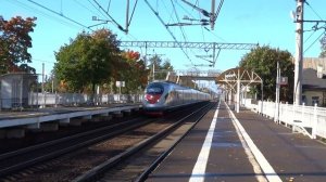Сапсан ЭВС на большой скорости