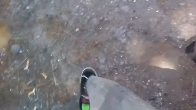 Obd0 to OBD1 conversion 86 Honda Accord lxi part 2 смотреть онлайн