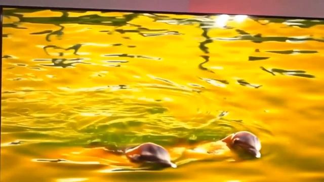 Телевизор Hisense 43E7HQ СТОИТ ЛИ БРАТЬ смотреть онлайн