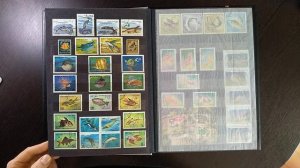 Почтовые Марки Рыбы