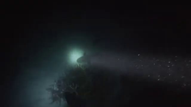 Scuba Diving at Norman Reef on the Great Barrier Reef September 2022 смотреть онлайн