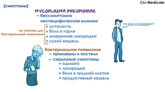 Атипичная пневмония - Микоплазма пневмонии (M.pneumoniae) - клиника, диагностика, лечение