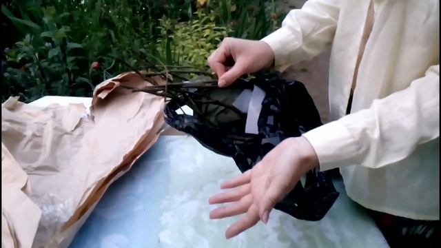 НПО САДЫ РОССИИ ОТЗЫВЫ + Распаковка посылки ЛЕТО 2015 и опять! роза Джон Дэвис смотреть онлайн