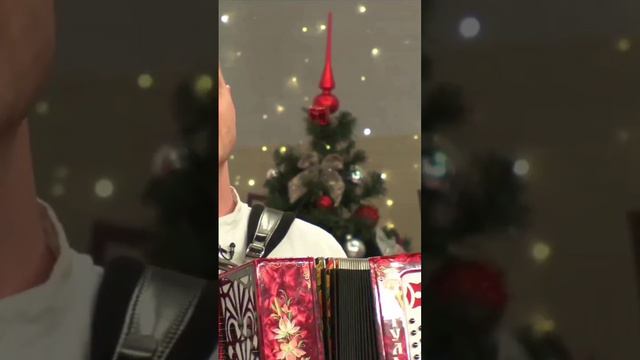 Зимняя песня. Г Заволокин. Сергей поздравляет с наступающим новым годом. #2023 #2024 #гармонь #росс смотреть онлайн