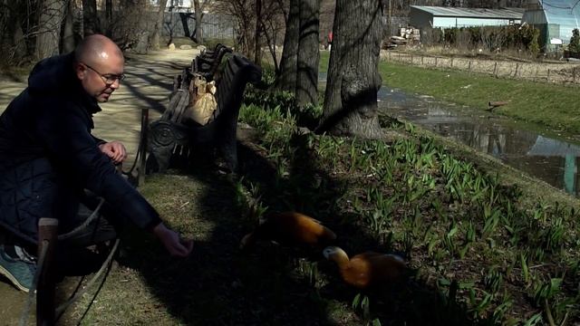 #Москвастобой - Экскурсия «Что сейчас цветет в Аптекарском огороде» смотреть онлайн