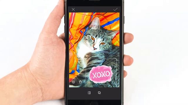 Фотопринтеры HP Sprocket – изучение функций приложения Sprocket смотреть онлайн