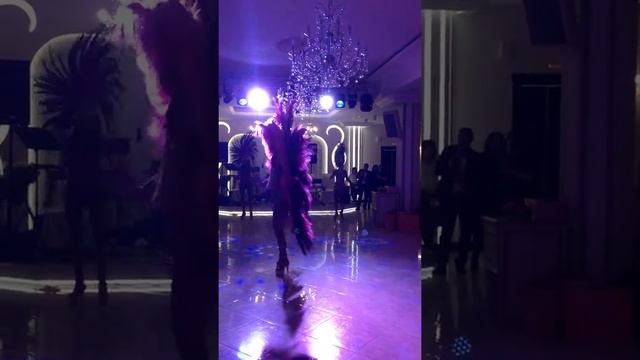 Бразильское карнавальное шоу "Samba`s Queen" Выступление в Краснодаре! Ресторан "Sweet Hall" смотреть онлайн