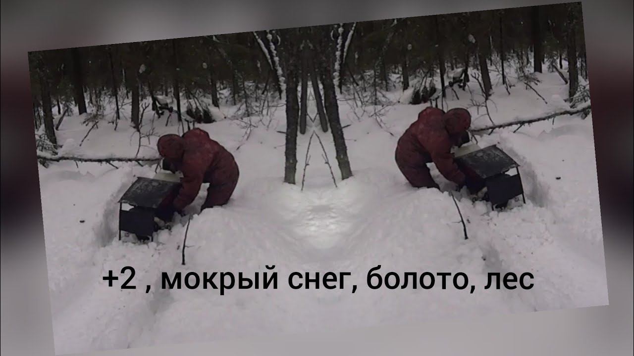 Не очень легкая прогулка в лесу смотреть онлайн
