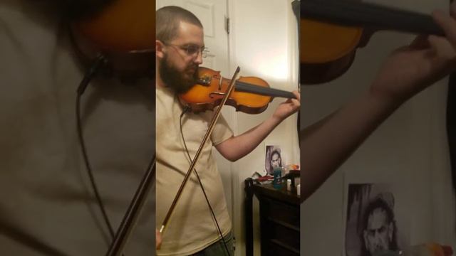 Guardian - Lindsey Stirling Violin Cover
