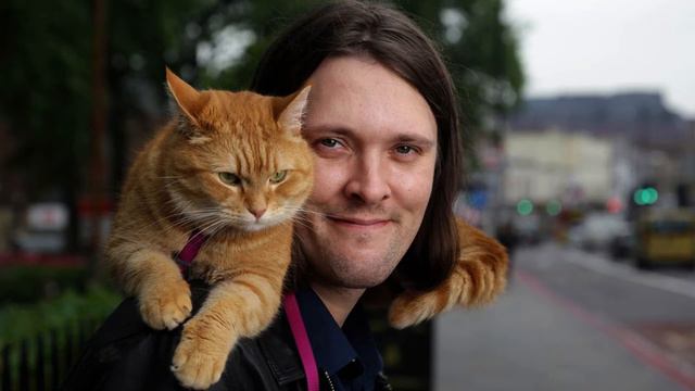 遇見街貓主題曲-流浪貓BOB主題曲-A Street Cat Named Bob【木比電影主題曲－Movie theme song】 смотреть онлайн