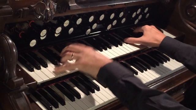 Pirates of the Caribbean: Reed Organ & Celesta play Davy Jones Theme смотреть онлайн