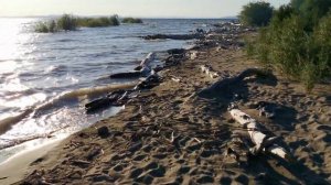 Лебяжье, Красноярское море, выходные