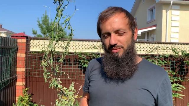 ВЛОГ РАБОТА ПО УЧАСТКУ ,САЖАЕМ ШЕЛКОВИЦУ , ЗИЗИФУС ,СТРИЖКА ГАЗОНА смотреть онлайн