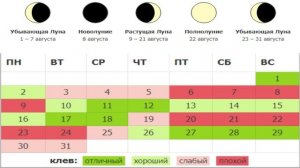 Календарь Рыбалки на Август 2021 Лунный Календарь Рыболова на Август Какая рыба клюет в Августе