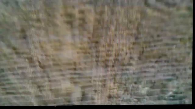 рисунок на пирамиде смотреть онлайн