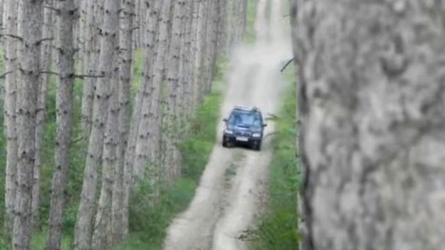 Subaru Forester 2.0XT AT '05 "Лесник" смотреть онлайн