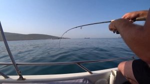 Дайвинг рыбалка отпуск в Кабардинке