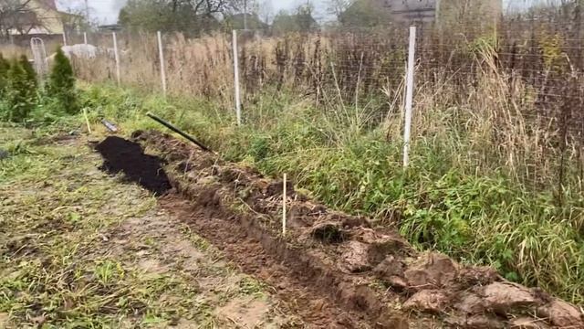 22.10.20. Посадили 16 колоновидных туй и одну аурэя неизвестного сорта. смотреть онлайн
