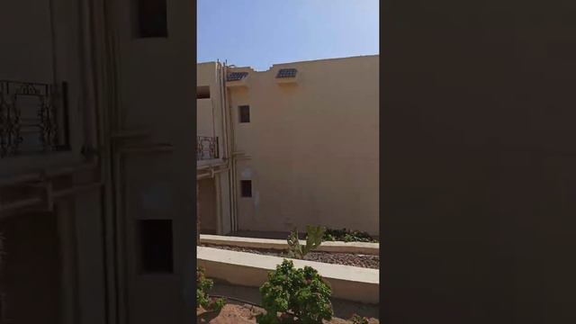 Grand Oasis Resort 4 Шарм Эль Шейх