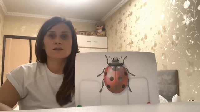 Познавательное развитие «Божья коровка» для детей 2 мл.группы смотреть онлайн