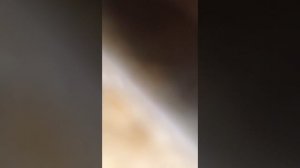 Иже Херувимы Старинного распева