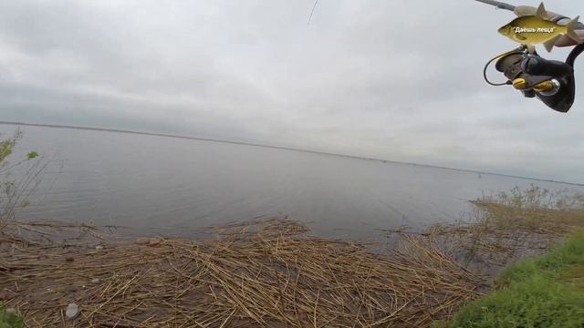 Краснодар, Адыгея Шапсугское водохранилище. Щука на спиннинг.