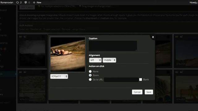 Mikado for WordPress Tutorial смотреть онлайн