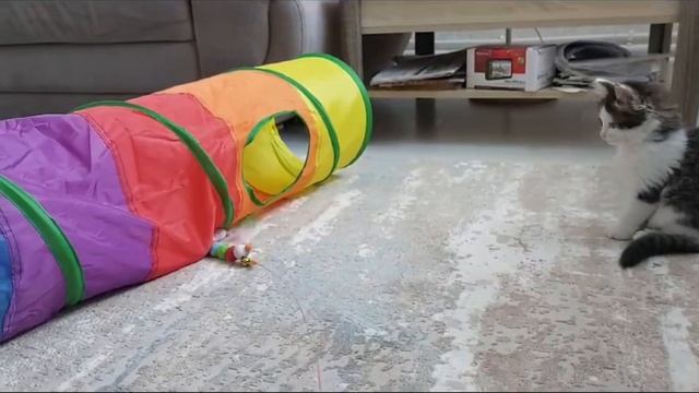 Игра под присмотром смотреть онлайн