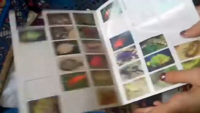 Мои вещи для личного дневника😊📖 смотреть онлайн