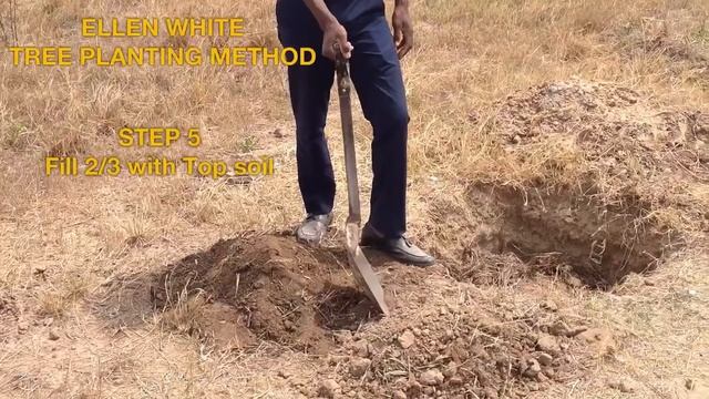 ELLEN WHITE TREE PLANTING METHOD смотреть онлайн