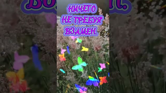 ВСЕ ДЛЯ ТЕБЯ.. смотреть онлайн