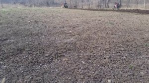 Минитрактор пахота,вспашка  огорода плугом( плуг китай).