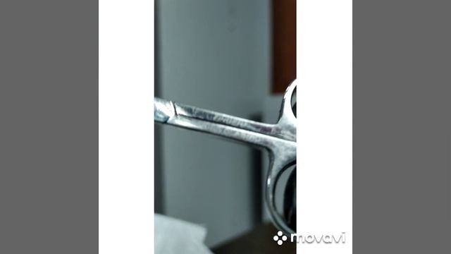 Заточенные маникюрные ножницы смотреть онлайн