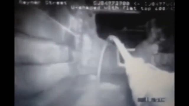 6 необъяснимых существ снятых на камеру смотреть онлайн